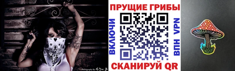 kraken tor  Магас  Галлюциногенные грибы Magic Shrooms 